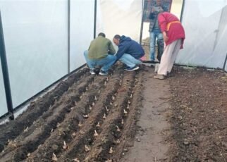 किसानों की अनुकूलन को मदद कम, सब्सिडी ज़्यादा