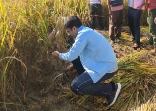सुबह-सुबह किसान बन पहुंचे डीएम सविन, खेत में किसानों संग की धान की कटाई… 
